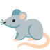 جرذ