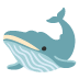 حوت