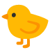 كتكوت صغير