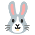وجه أرنب