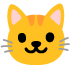 وجه قطة