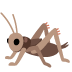 蟋蟀