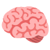 腦