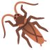 蟑螂