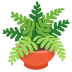 نبتة في وعاء