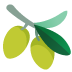 oliva